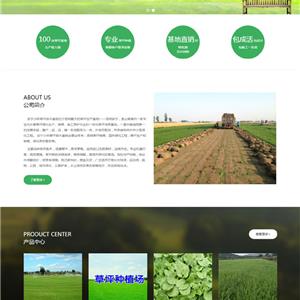 安寧小林草坪基地網站制作成功案例-昆明草坪-云南草坪-人工草坪包成活